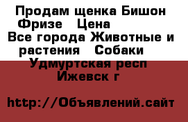 Продам щенка Бишон Фризе › Цена ­ 30 000 - Все города Животные и растения » Собаки   . Удмуртская респ.,Ижевск г.